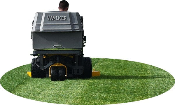 Advantage - Beautiful Cut